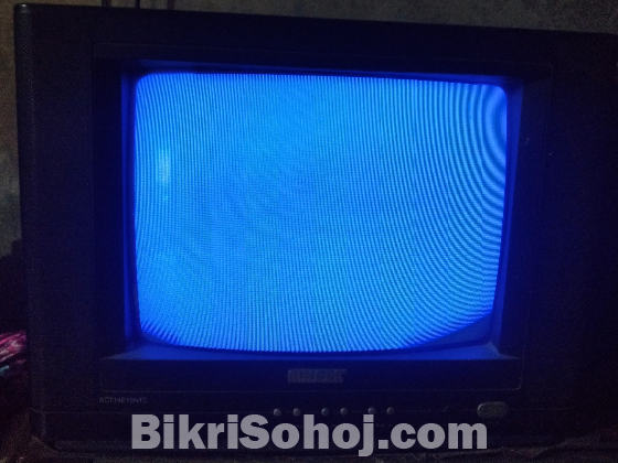 Singer 14 inch color tv